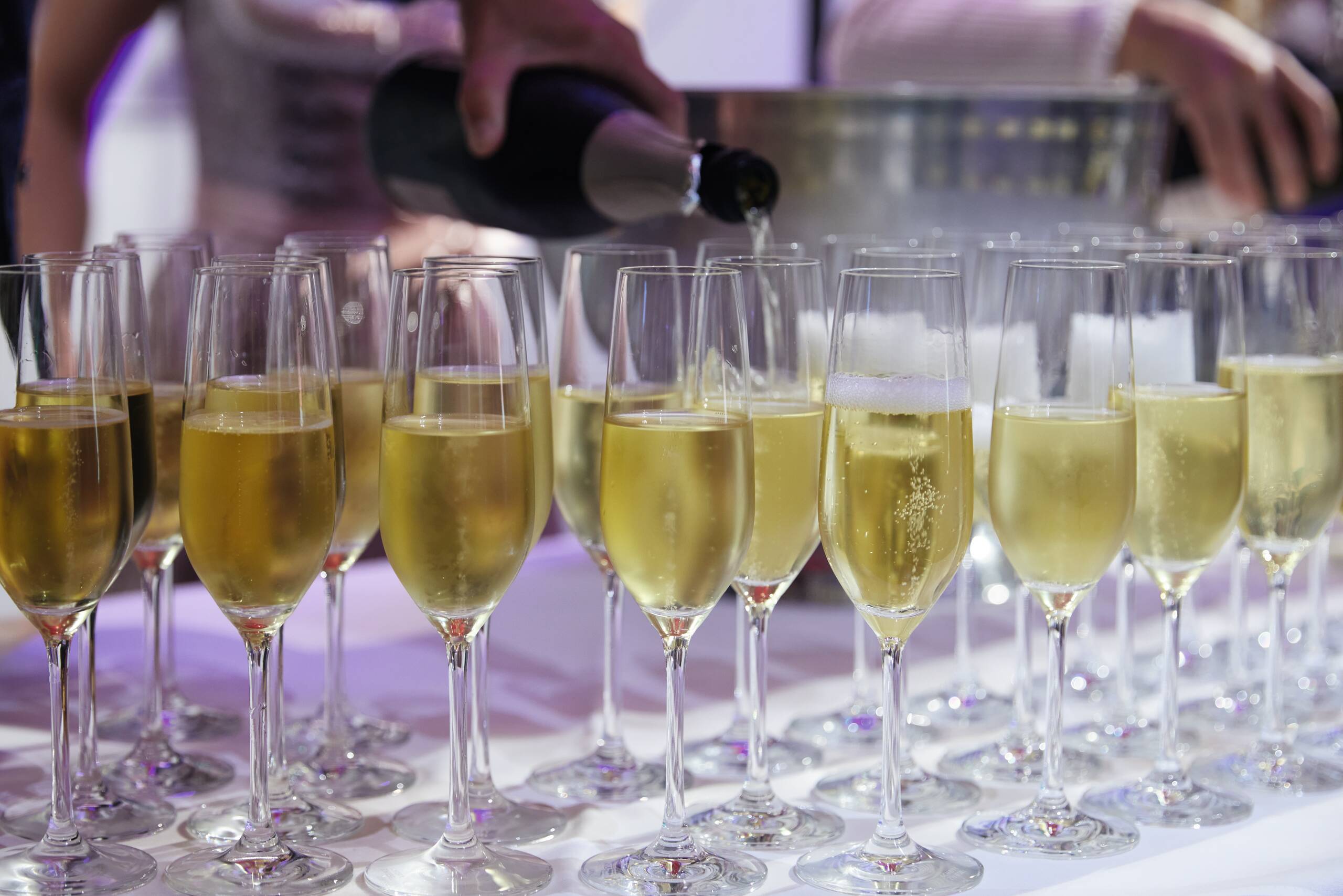 Winzer, Wein und Wohngenuss Veranstaltung in der World of Living von WeberHaus